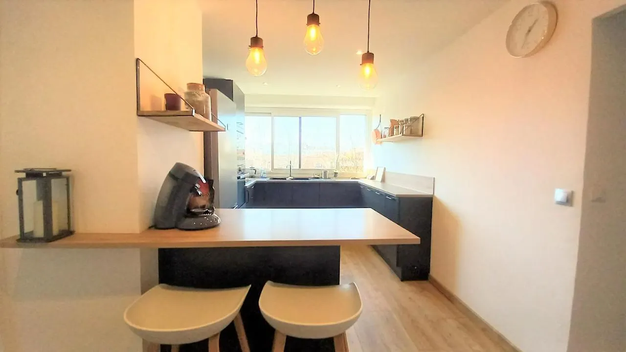 Appartement Magnifique Cocon - Metro A Republique - 2 Belles Chambres Avec Dressings - Wifi Gratuit - Netflix - Au Calme Absolu - Lumineux - Jardin Arbore Partage Dans La Residence Villeurbanne